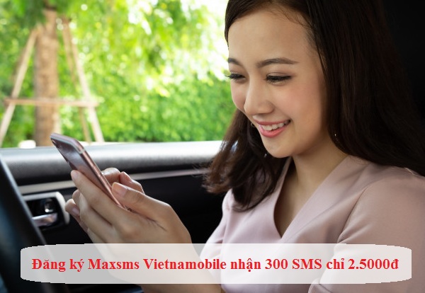 dang ky goi ma sms vietnamobile nhan 300 tin nhan chi 25000d