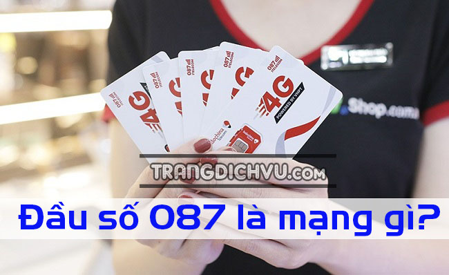 dau so 087 la mang gi