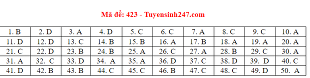 Đáp án môn Anh thi THPT Quốc Gia 2020 mã đề 423