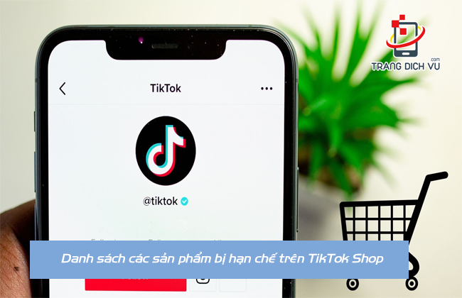 danh sach san pham han che tren tiktok shop