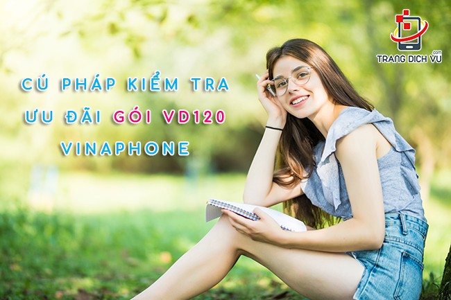 Kiểm tra ưu đãi còn lại gói VD120 Vinaphone