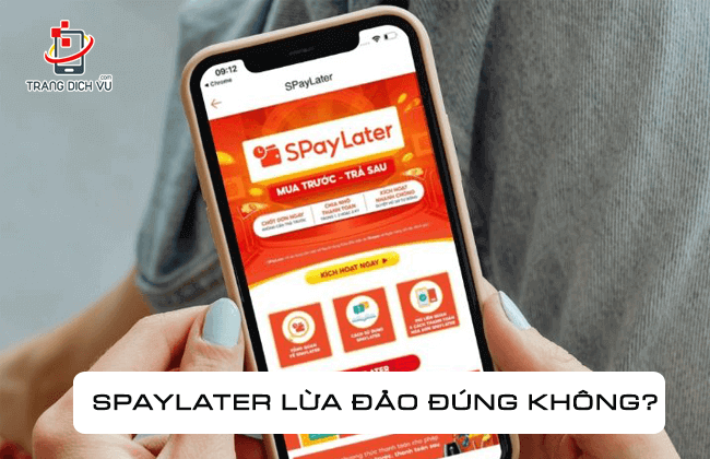 spaylater lua dao