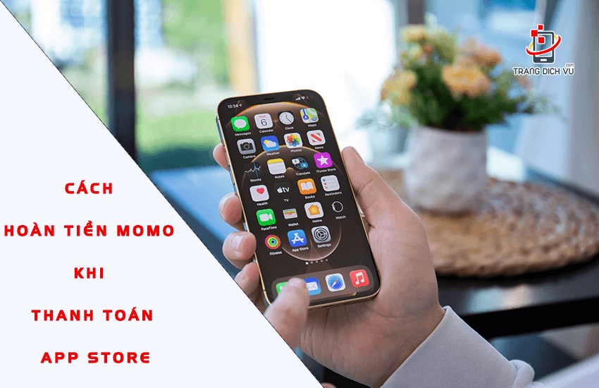 cach hoan tien momo khi thanh toan app store